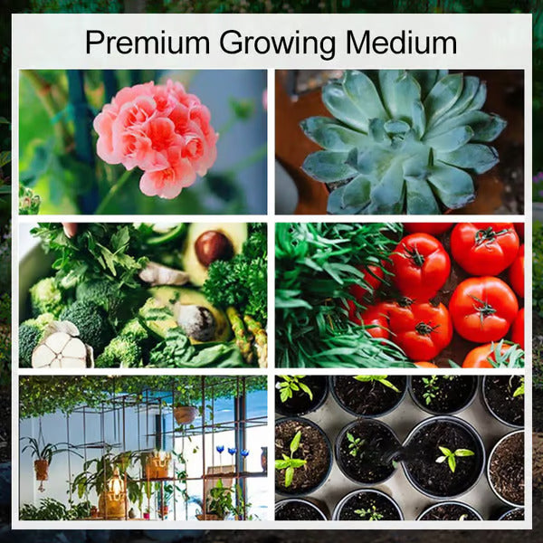 đ„„Premium Organic Coconut Coir Bricks for Plants