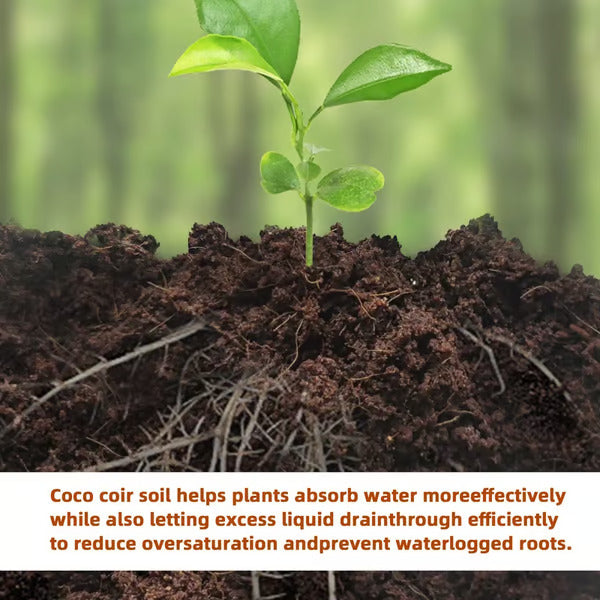 đ„„Premium Organic Coconut Coir Bricks for Plants