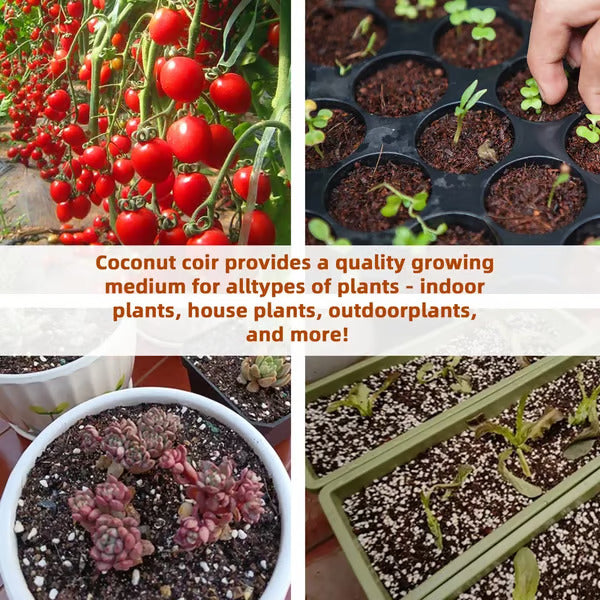 đ„„Premium Organic Coconut Coir Bricks for Plants