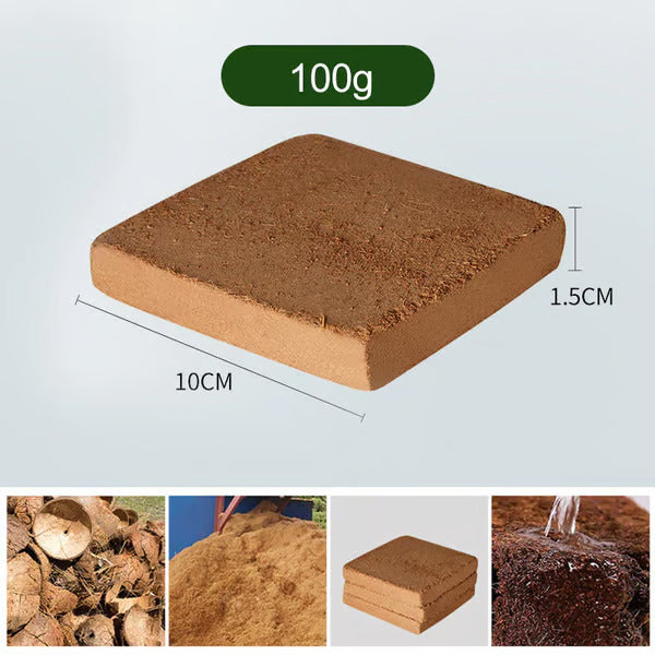 đ„„Premium Organic Coconut Coir Bricks for Plants