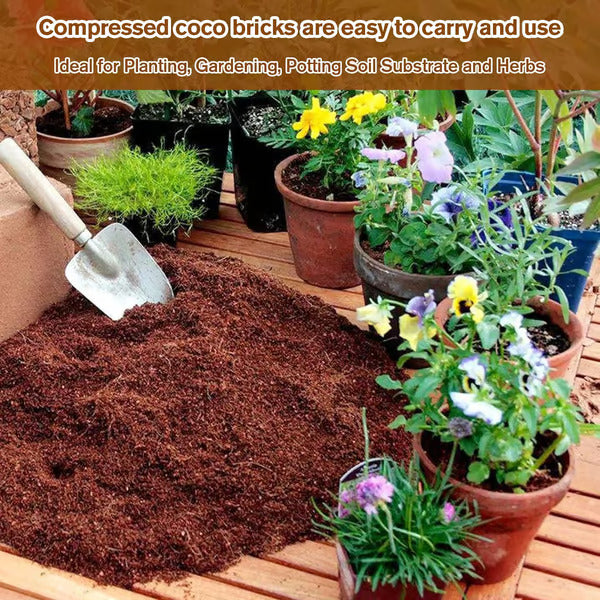 đ„„Premium Organic Coconut Coir Bricks for Plants