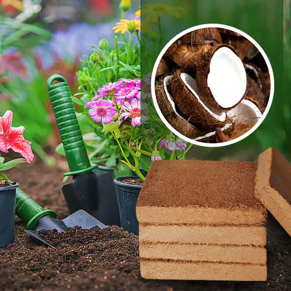 đ„„Premium Organic Coconut Coir Bricks for Plants