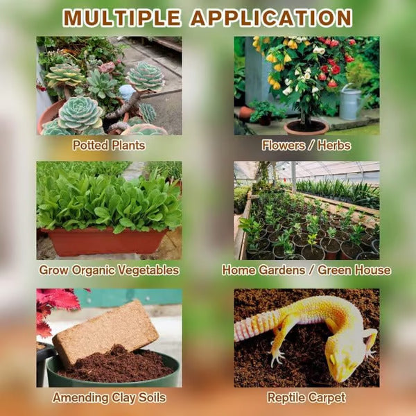 đ„„Premium Organic Coconut Coir Bricks for Plants