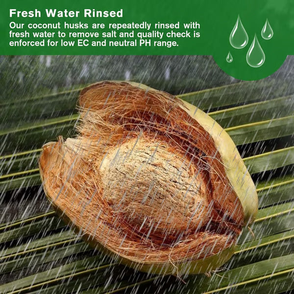 đ„„Premium Organic Coconut Coir Bricks for Plants