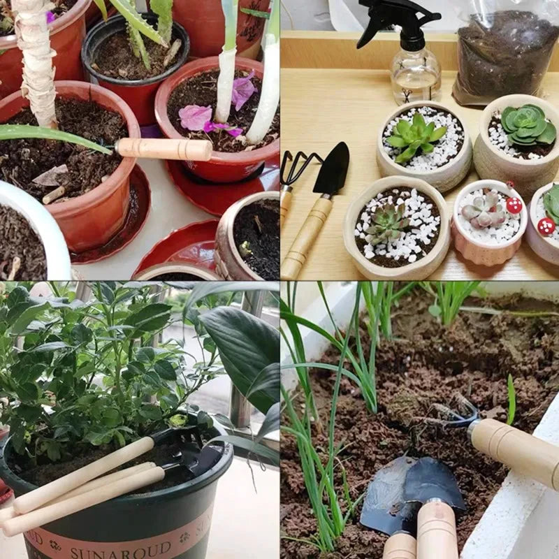 3-Piece Potted Plant Tool Set (Pruner, Tweezers, Scissors)