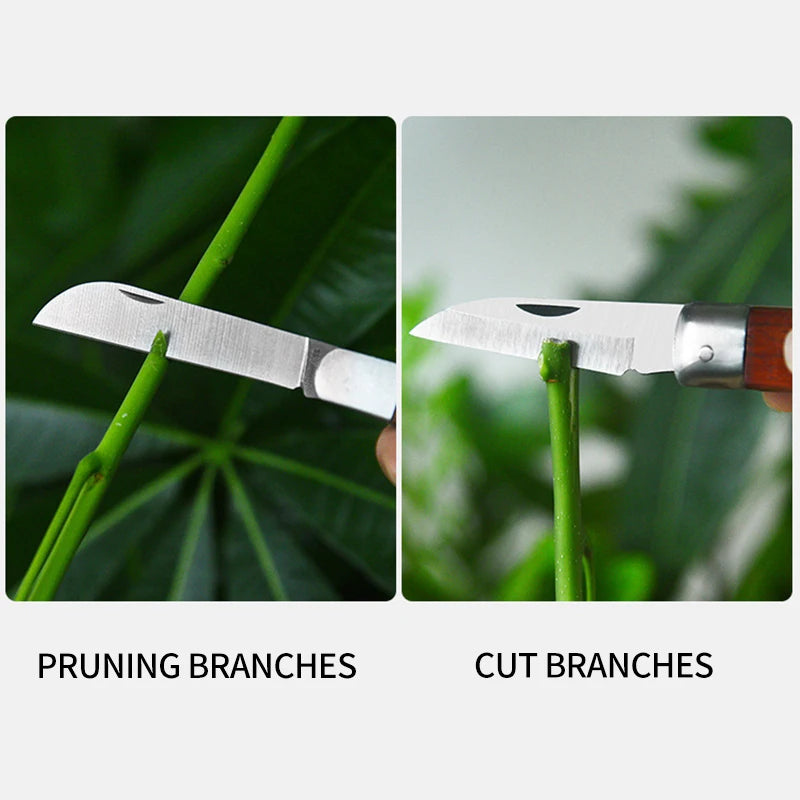Foldable Grafting Knife – Stainless Steel Pruning Tool for Bonsai & Plants