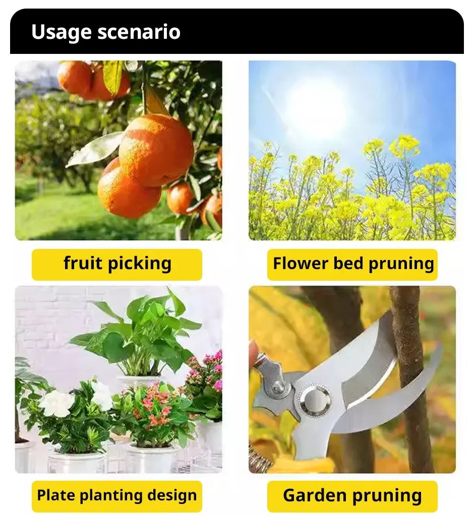 Professional Garden Pruning Shears - Sharp Branch Trimmer for Plants & Flowers