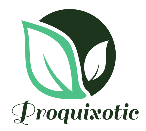 Proquixotic