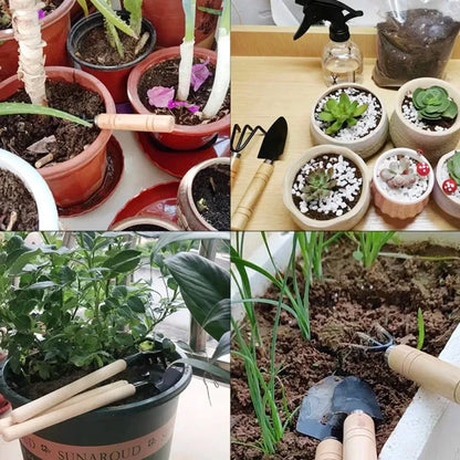 3-Piece Potted Plant Tool Set (Pruner, Tweezers, Scissors)