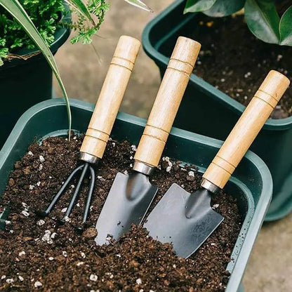 3-Piece Potted Plant Tool Set (Pruner, Tweezers, Scissors)