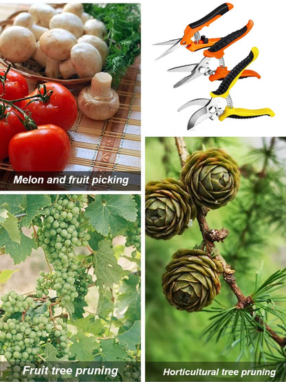 3pcs Stainless Steel Garden Scissors Set (Pruner, Multi-Tool)