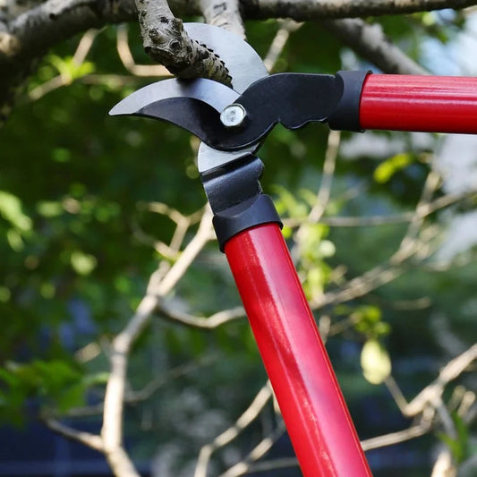 Professional Garden Pruning Shears - Coarse Branch Cutter for Trees & Plants