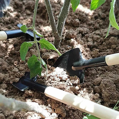 3-Piece Potted Plant Tool Set (Pruner, Tweezers, Scissors)